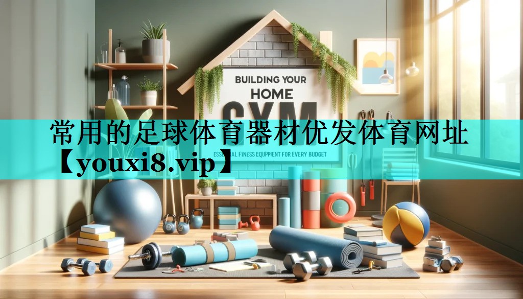 常用的足球体育器材优发体育网址