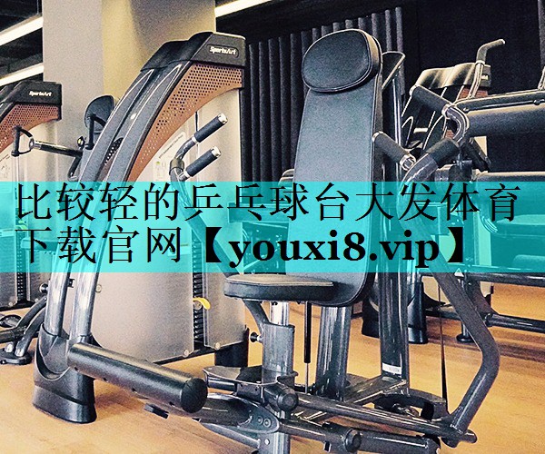 比较轻的乒乓球台大发体育下载官网