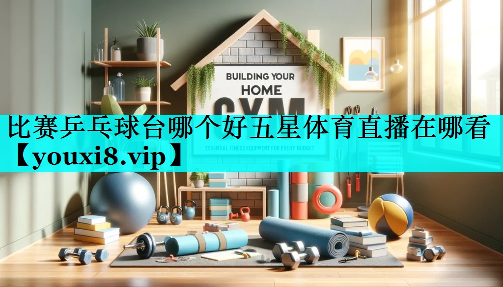 比赛乒乓球台哪个好五星体育直播在哪看