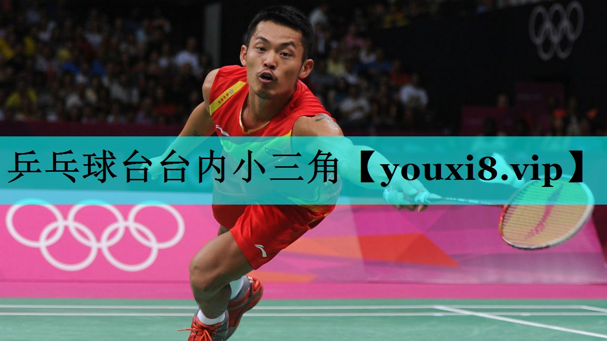 乒乓球台台内小三角 乒乓球台台内小三角