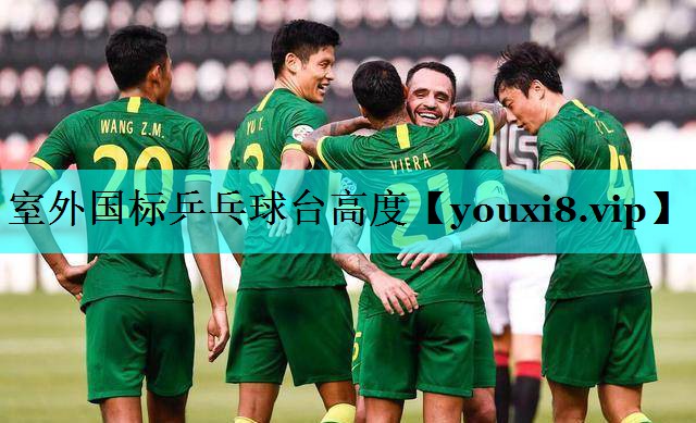 室外国标乒乓球台高度 室外国标乒乓球台高度