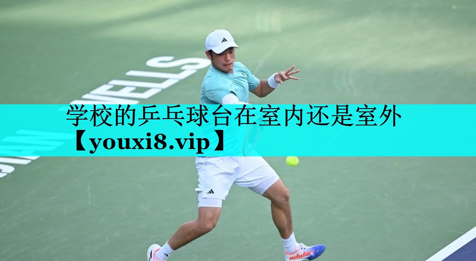 学校的乒乓球台在室内还是室外 学校的乒乓球台在室内还是室外