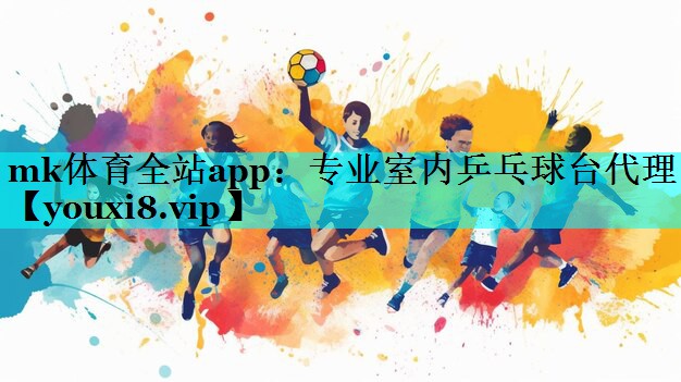 专业室内乒乓球台代理 专业室内乒乓球台代理